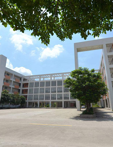 翘楚肩夹机	(图16)